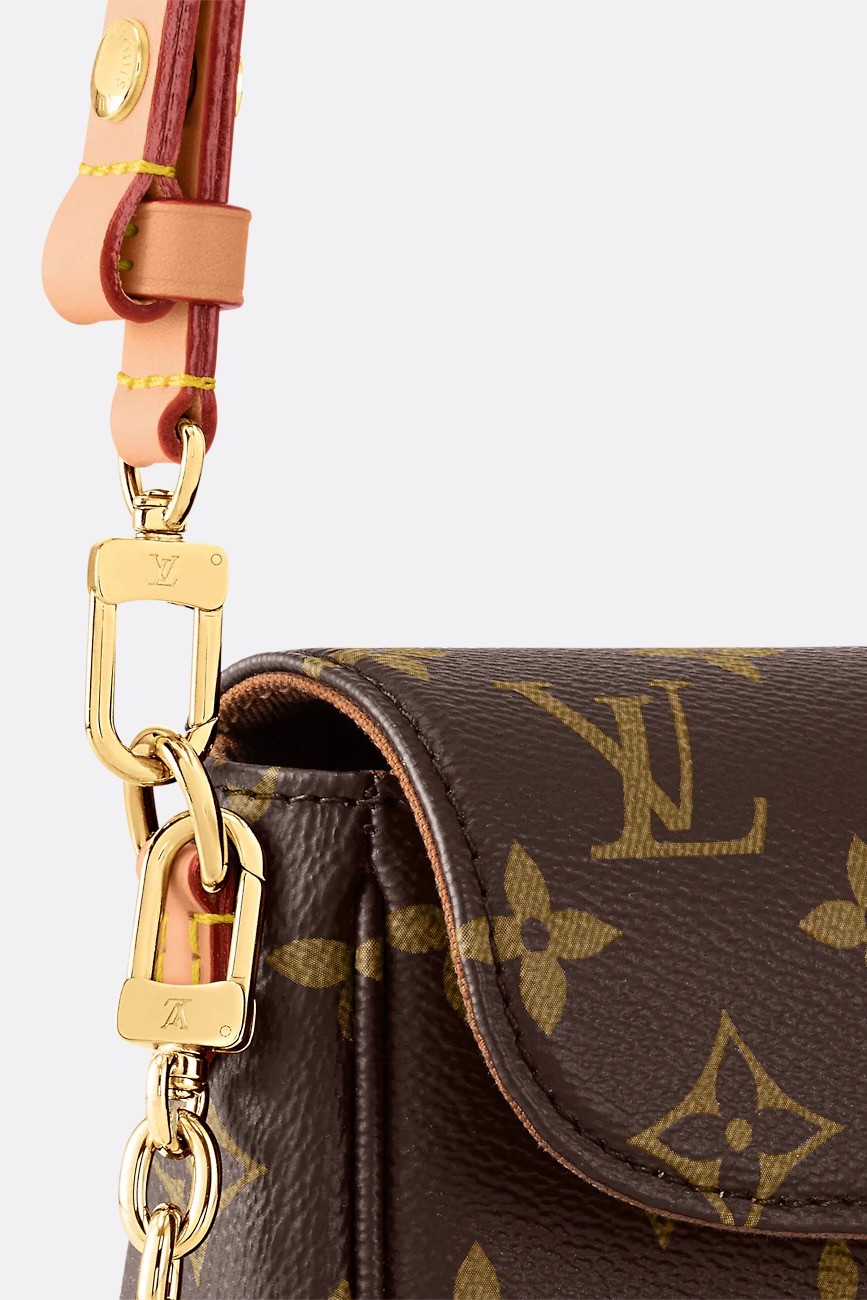 LOUIS VUITTON IVY WALLET ON CHAIN Handbag Review - WORTH IT