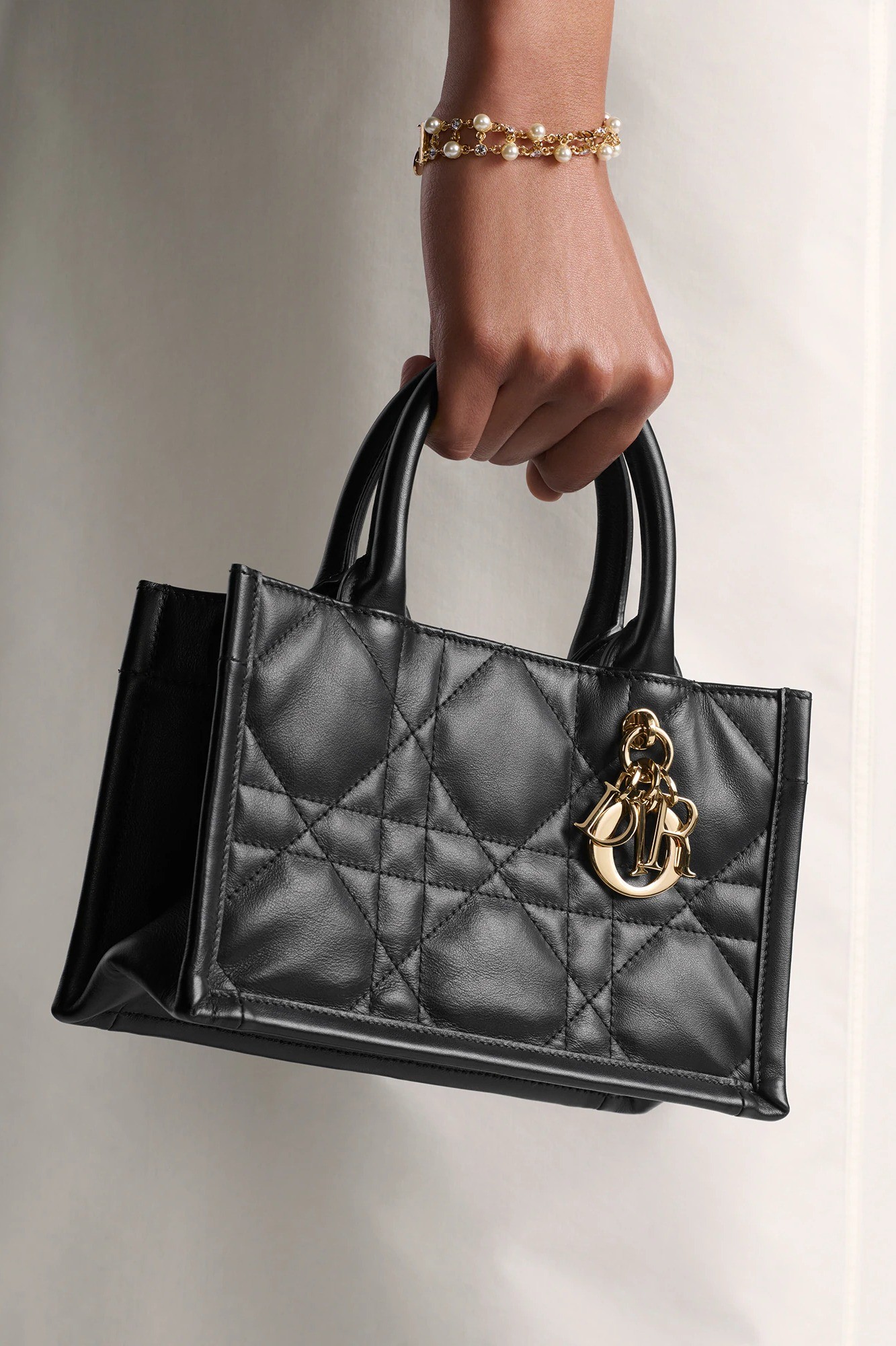 Mini Dior Book Tote - Black